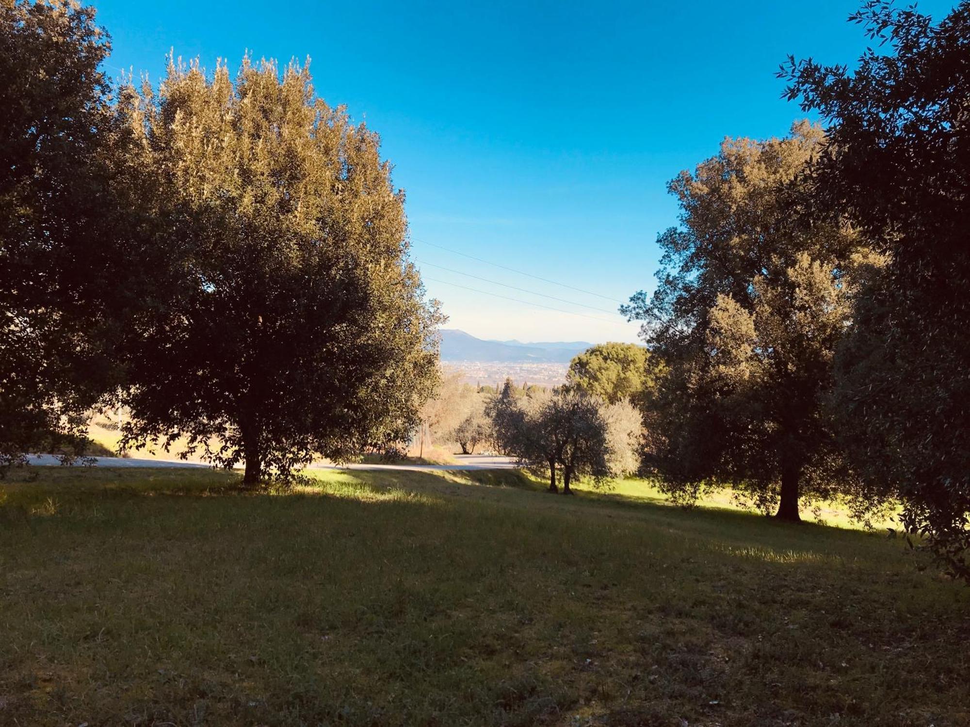 La Residenza Dei Piaceri Perduti- Le Volte Lastra a Signa Exterior foto